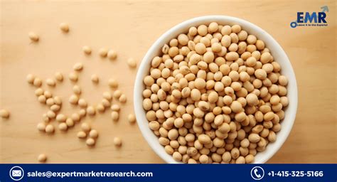 Soybean Market Size, Share, Report and Forecast 2022-2027’