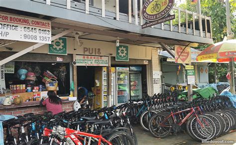 A Noob’s Guide To Cycling At Pulau Ubin, Including Bike Rentals & What ...