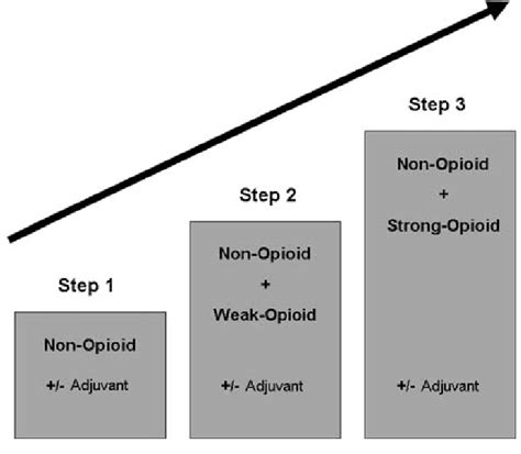 WHO pain relief ladder | Download Scientific Diagram