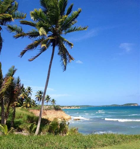 A Guide To Vieques Island Beaches | Vagrants Of The World Travel