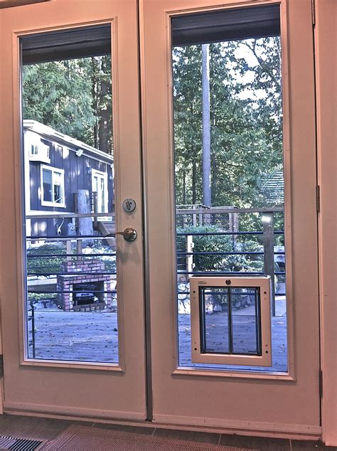 Door with built in dog door - must have for dog owners - house-ideas.org