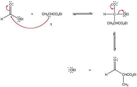 Berg Bewegung schwer claisen condensation mechanism Stammbaum Das ...