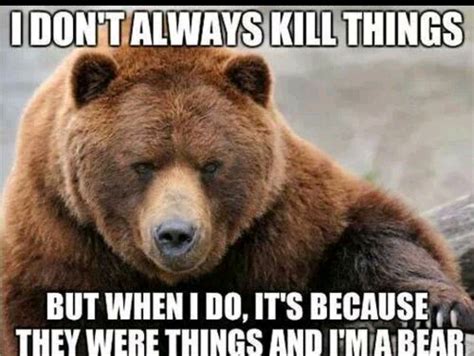 Pin by Bernadette Garcia on Bears | Funny bears, Bear, Funny animal pictures