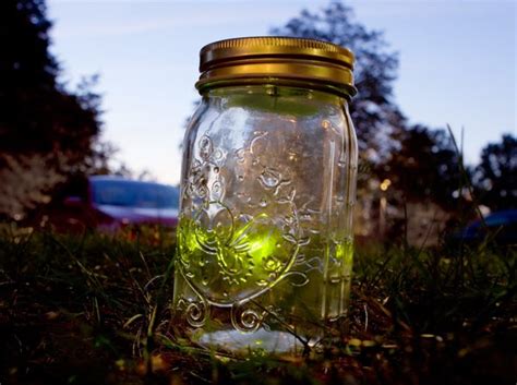 Electronic Firefly in a Jar | Fireflies in a jar, Firefly, Jar