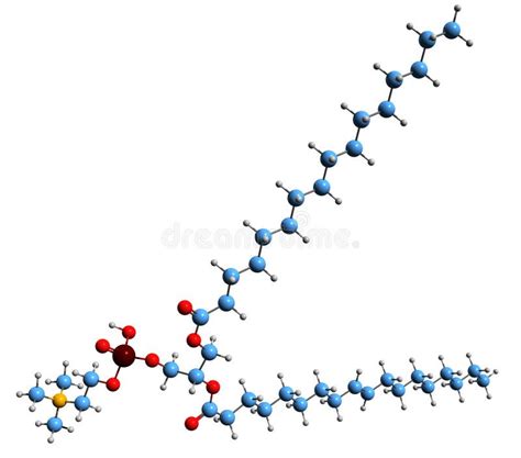 Phosphatidylcholine Chemical Structure