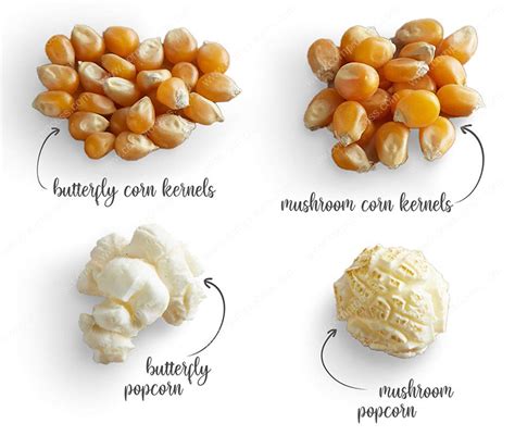 Different Type Popcorn Introduction - Corn Flake Machine, Puffed Corn ...