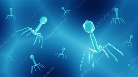 Bacteriophage therapy, animation loop - Stock Video Clip - K010/9873 ...