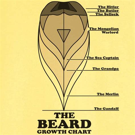 The Beard Growth Chart | Hair growth charts, Beard colour, Beard