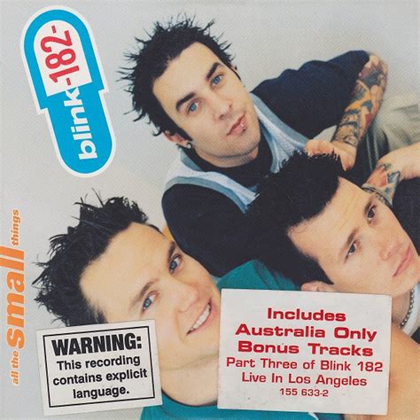 Blink-182 - All The Small Things (1999, CD) | Discogs