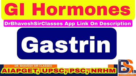 Gastrin Hormone | Gastro Intestinal Hormones Physiology | Function | DrBhavesh Sir Classes - YouTube