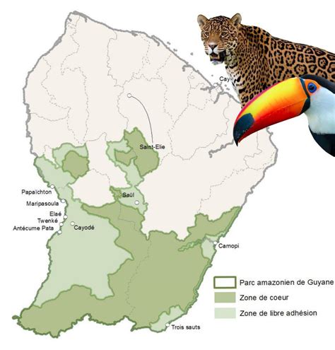 Guiana Amazonian Park - the largest park in the EU - Maps on the Web