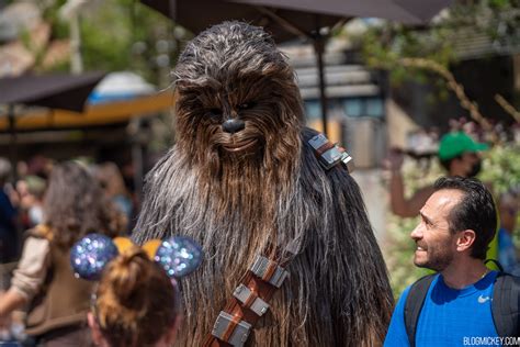 Characters Roaming Freely Again Within Star Wars: Galaxy's Edge at Disney's Hollywood Studios