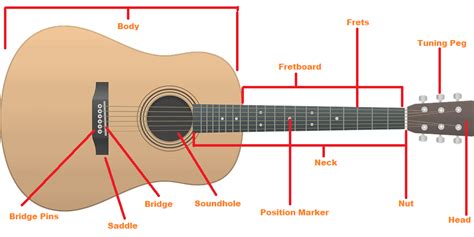 The Parts of an Acoustic Guitar you Need to Know - StringVibe