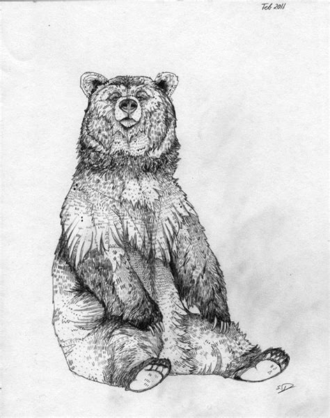 Agregar 86+ oso grizzly dibujo realista muy caliente - vietkidsiq.edu.vn