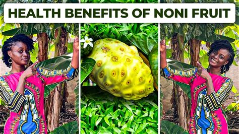 7 Amazing Benefits Of Noni Fruit!!! - YouTube