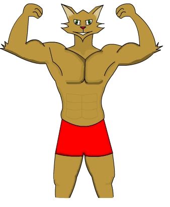 Muscle Cat by AdvenaPuella on DeviantArt