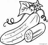 Cucumber Coloring Pages 26 Free Printables  ColoringAll sketch template