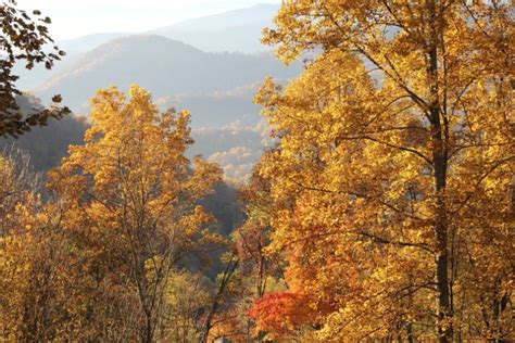 Blue Ridge Mountain Fall Colors - Blue Ridge Mountain Life