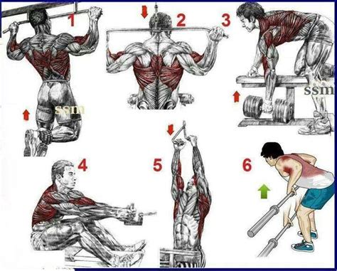 Back workout | Workouts | Pinterest | Workout, Exercise and Fitness