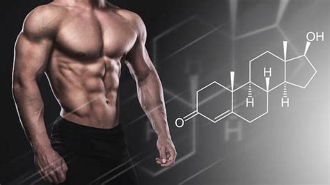 Bodybuilding Anabol Cycle, Side Effects & Results