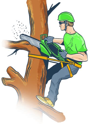 As a Landscaper, a Tree Removal Service is Invaluable to You