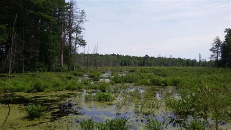 Assabet River Rail Trail | Maynard, MA