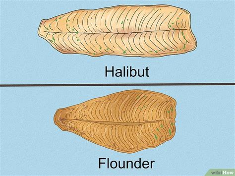 Flounder vs. Halibut: Differences in Taste & Appearance