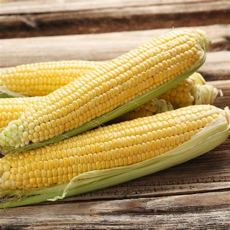 Spring Treat Hybrid (se) Corn Seeds – Hometown Seeds