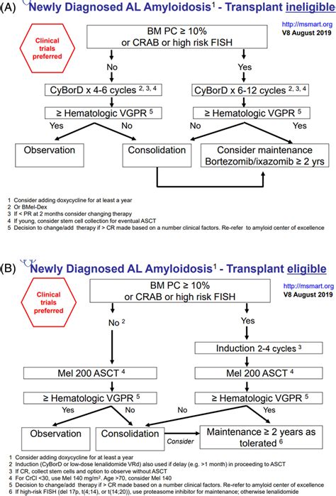 mSMART.org guidelines for treatment of newly diagnosed AL amyloidosis ...