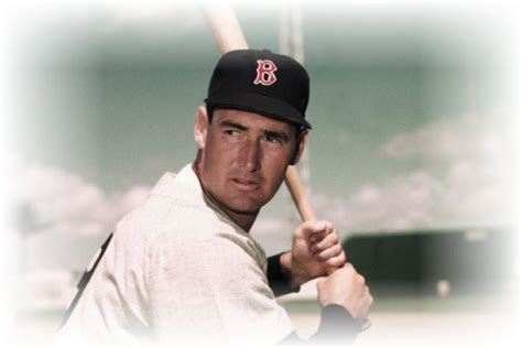 Ted Williams Frozen Head Hit by a Baseball Bat ~ A Rich Idea