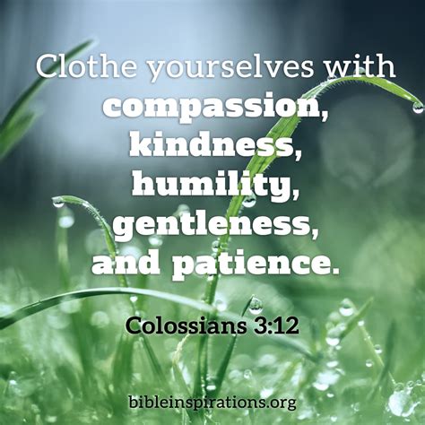 Therefore, as God’s Chosen People, Holy and Dearly Loved, Clothe Yourselves with Compassion ...