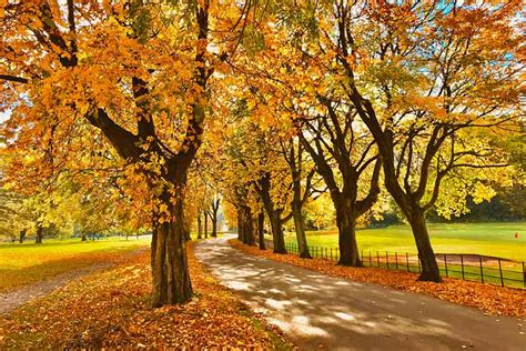 UK autumn season weather guide: Where to go in 2023/2024