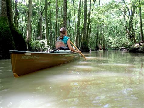 Exploring and Protecting the Arkansas Bayou