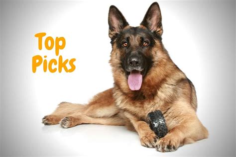 Best Tough Dog Toys for German Shepherds: Simply Indestructible ...