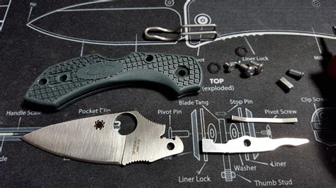 Spyderco Dragonfly 2 Rebuild (G-10, ZDP-189) | Drop