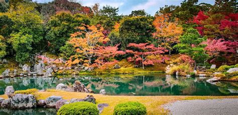 How and Where to Leaf Peep in Japan