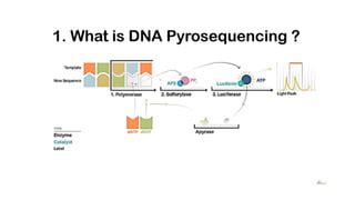 Pyrosequencing | PPT