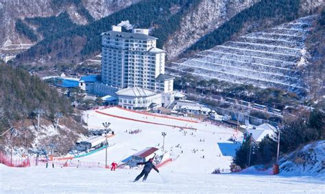 Elysian Resort Ski Tour from Seoul - Klook Philippines