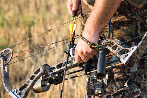 Hunting Bow Tips: Best Compound Bows for Beginners | Hunting-Bow