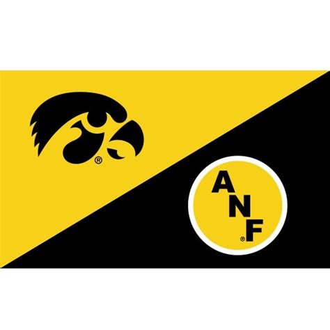 Iowa Hawkeyes 3' x 5' Split Design Flag