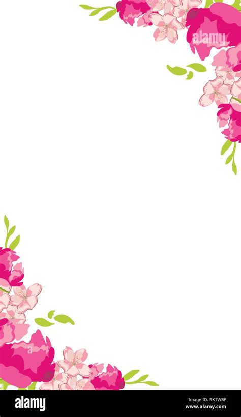 Vector illustration decorative floral frame with pink peony flower invitation card, background ...