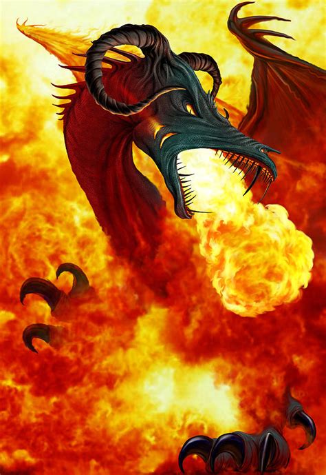 The Fire Dragon Photograph by MGL Meiklejohn Graphics Licensing