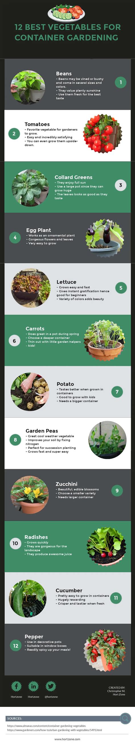 12 Best Vegetables for Container Gardening Plus Bonus Tips - Hort Zone