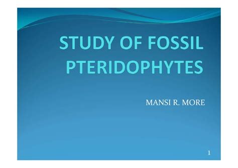 Fossils PTERIDOPHYTES | PPT