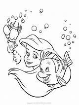 Ariel And Flounder Coloring Pages sketch template
