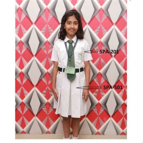 Plain Cotton DPS Megacity Girls School Uniform at Rs 300/set in Angul | ID: 20815716991