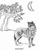 Wolf Coloring Pages  World Of Printables sketch template