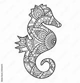 Vector Illustration Of A Black And White seahorse mandala For coloring  sketch template