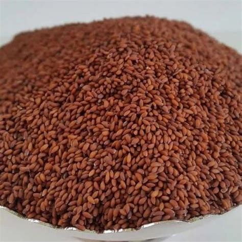 Garden Cress Seeds at Rs 80/kilogram | Linseed in Unjha | ID: 16369467933