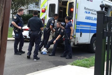 Cops injured while trying to catch car thief: NYPD